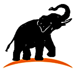 VHP-Nederland: verkiezingen 25 mei 2020 in Suriname